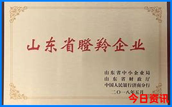 山亭十大免费景区